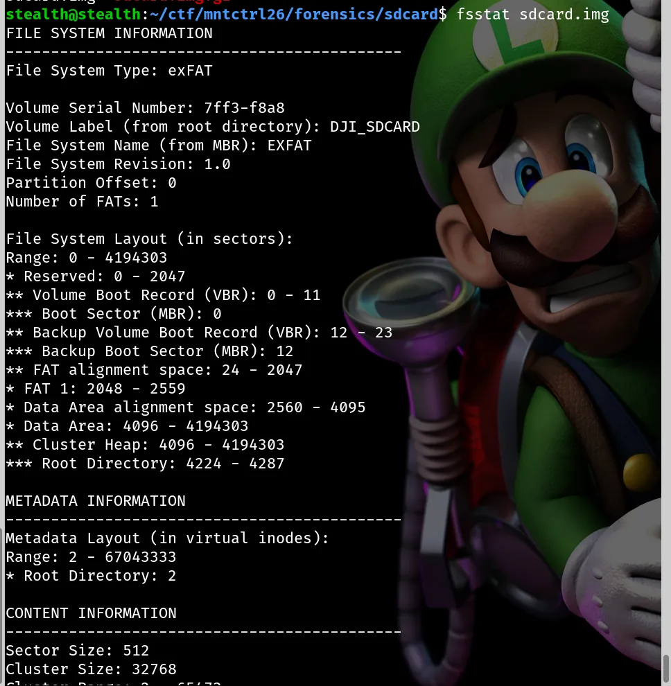 Output of fsstat sdcard.img showing file system information